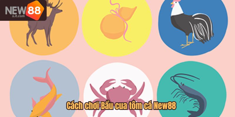 Cách chơi Bầu cua tôm cá cho bet thủ