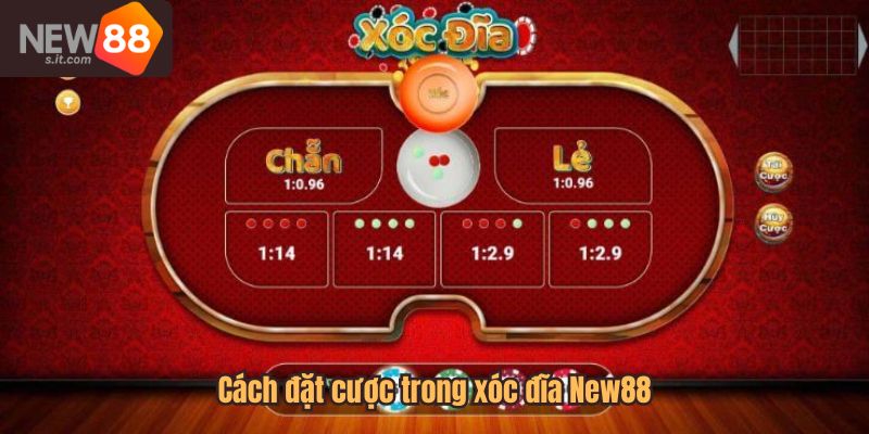Cách đặt cược trong xóc đĩa New88