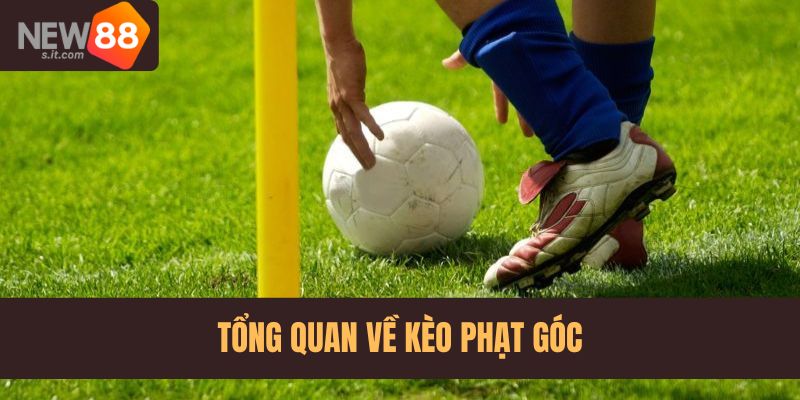 Đôi nét về kèo phạt góc