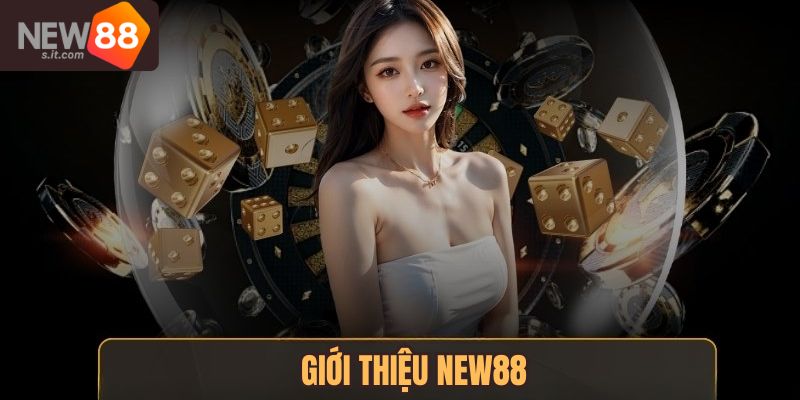 Giới thiệu New88 - Nhà cái trực tuyến uy tín, an toàn hàng đầu hiện nay