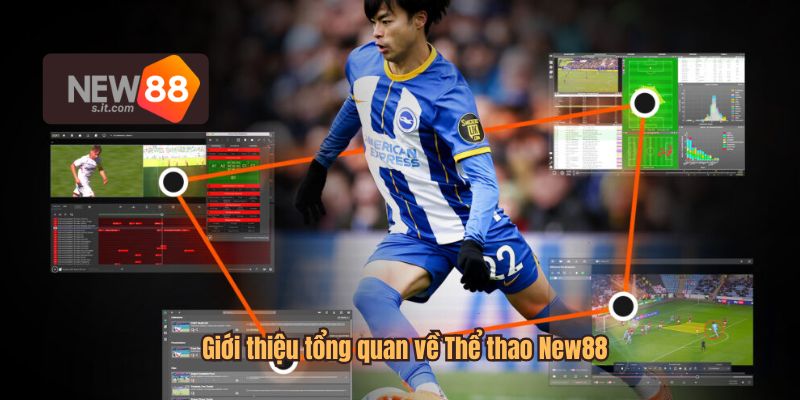 Sảnh thể thao New88 là một sảnh chơi sôi động