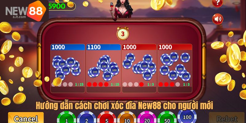 Hướng dẫn cách chơi xóc đĩa New88 cho người mới