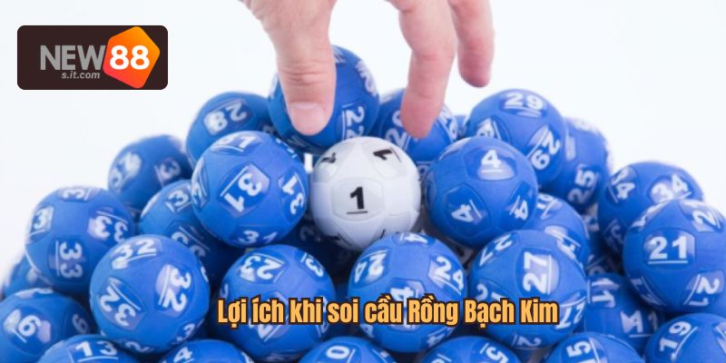 Lợi ích khi soi cầu Rồng Bạch Kim