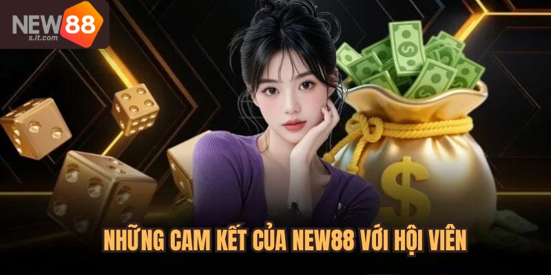 Những cam kết uy tín của New88 với người chơi