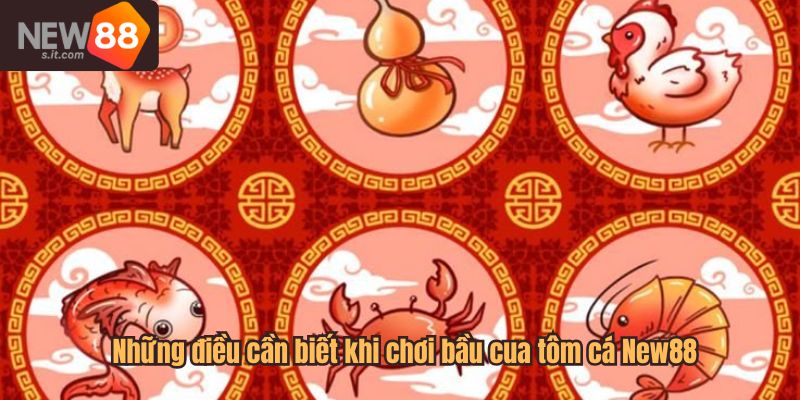 Những điều cần biết khi chơi bầu cua tôm cá New88