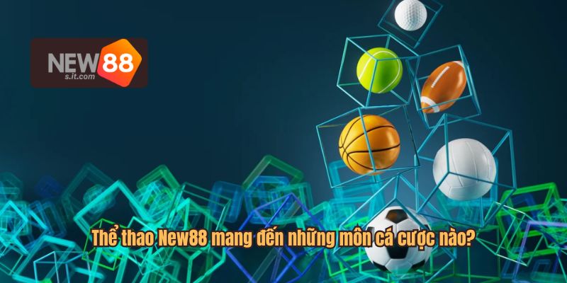 New88 mang đến nhiều môn cá cược thể thao khác nhau