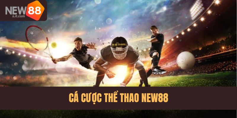 Cá cược thể thao với nhiều loại hình cá cược hấp dẫn