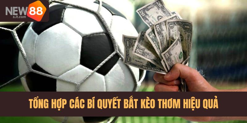 Tổng hợp các bí quyết bắt kèo bóng đá hiệu quả từ cao thủ